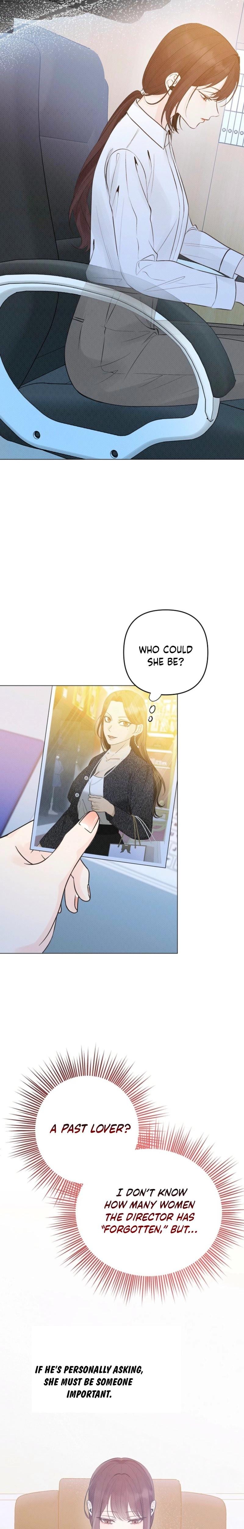Bad Secretary (Uncensored), chapter 4, page 14 of 24