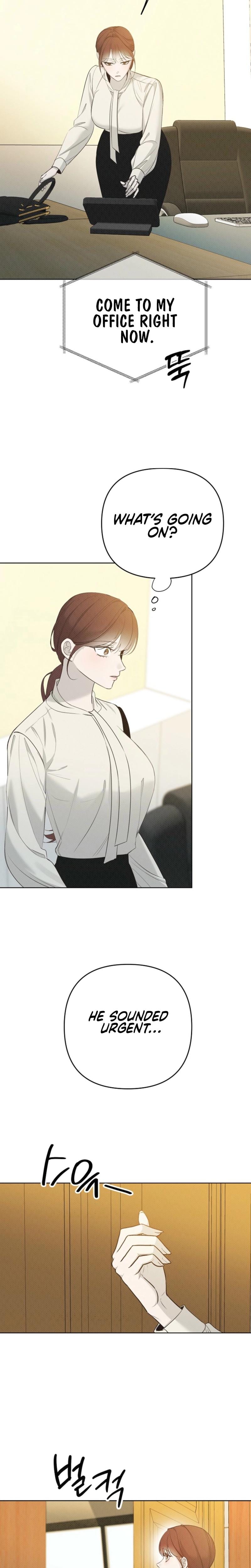 Bad Secretary (Uncensored), chapter 28, page 6 of 24