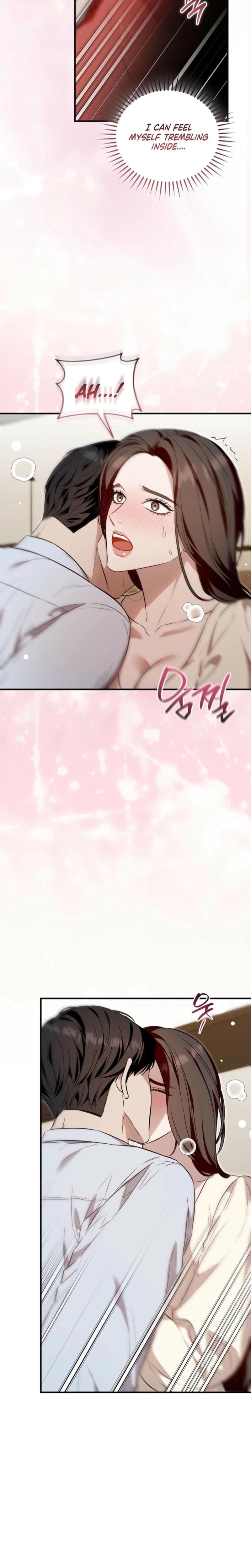 A Turbulent Affair (Uncensored), chapter 46, page 17 of 26