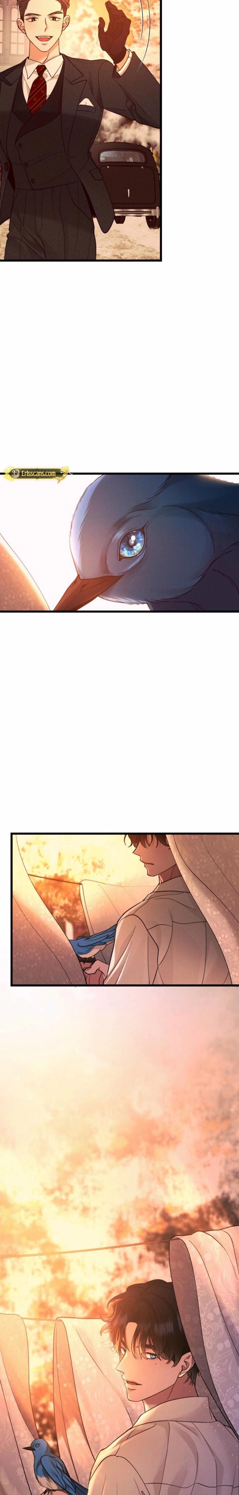Gyeongseong Lingerie Dressing Room (Uncensored), chapter 10, page 22 of 23