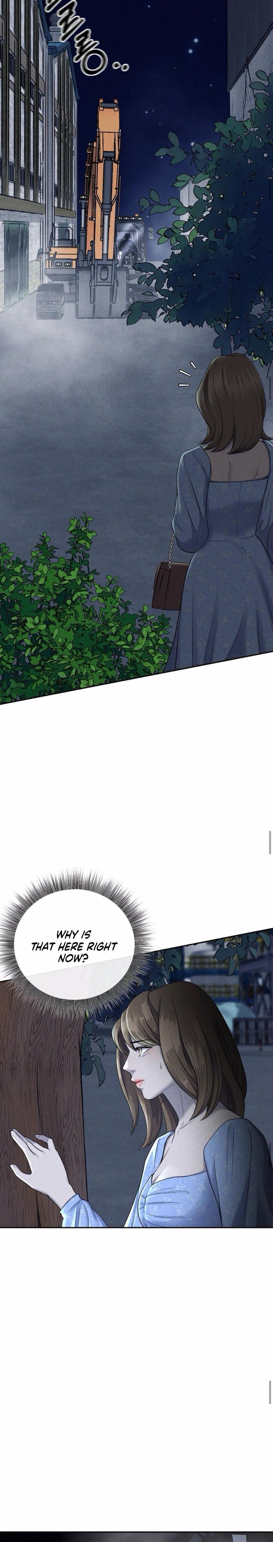 I Picked Up a Crazy Oppa (Uncensored), chapter 3, page 11 of 29