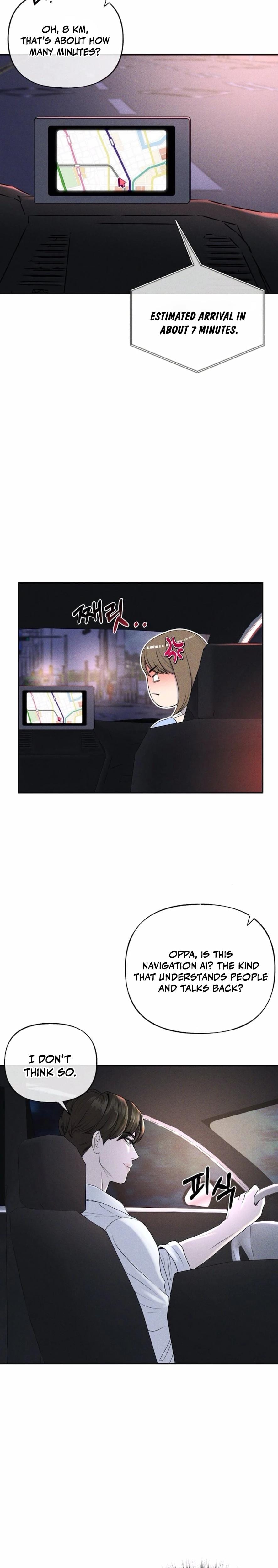 I Picked Up a Crazy Oppa (Uncensored), chapter 4, page 5 of 28