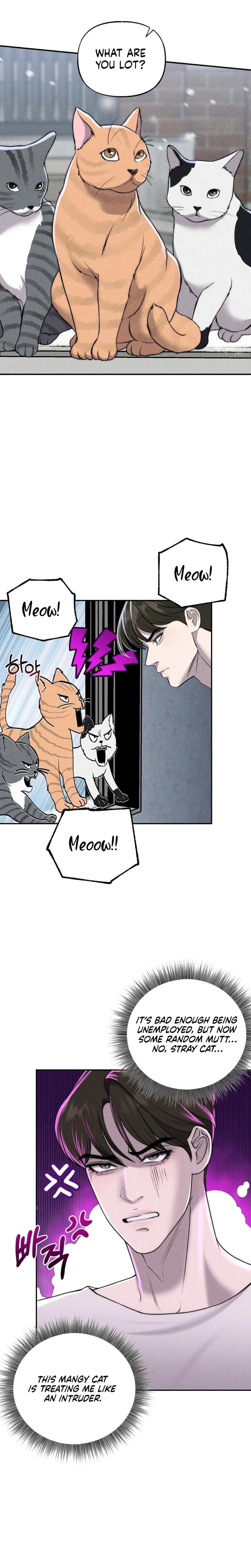 I Picked Up a Crazy Oppa (Uncensored), chapter 19, page 8 of 26