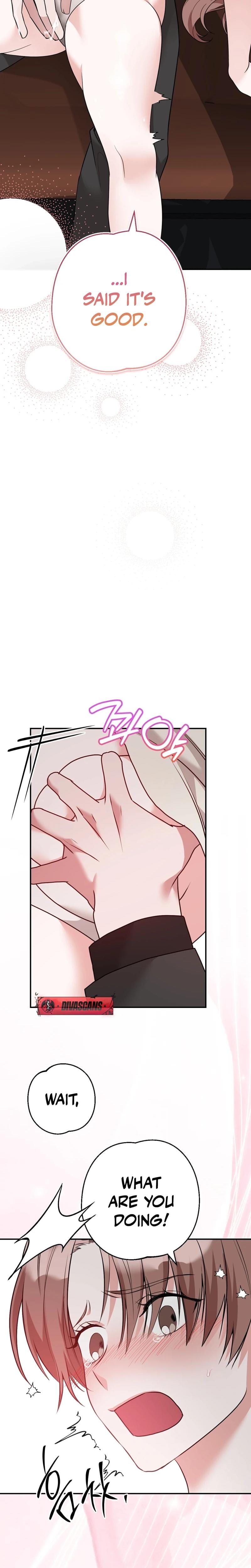It All Ends in Marriage (Uncensored), chapter 24, page 20 of 29