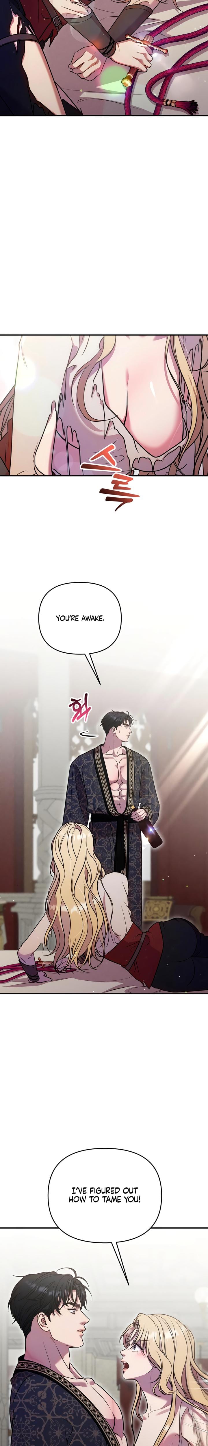 Lay Down Your Sword in the Bedroom (Uncensored), chapter 11, page 14 of 25