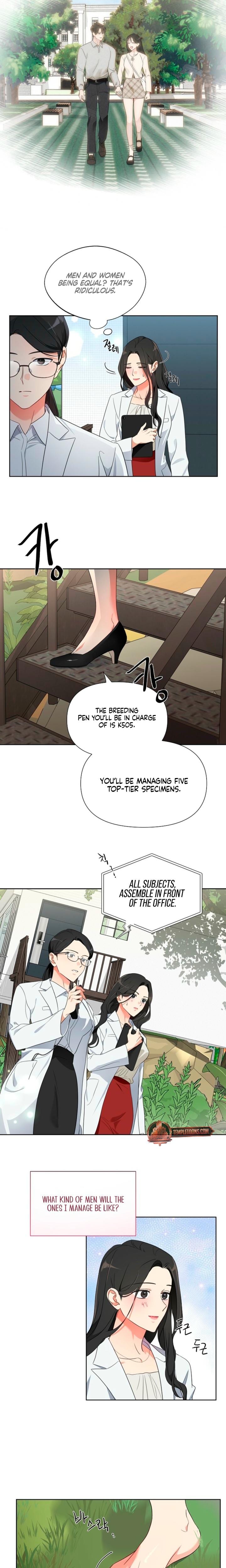 Males of the Breeding Room (Uncensored), chapter 1, page 7 of 26