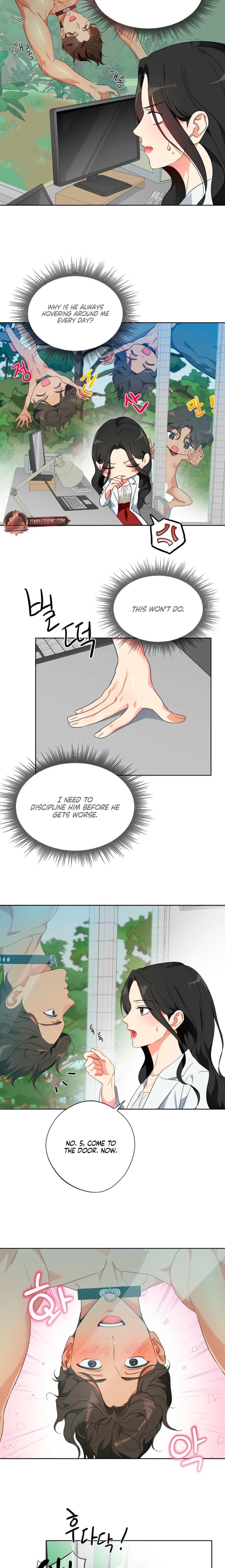 Males of the Breeding Room (Uncensored), chapter 1, page 19 of 26