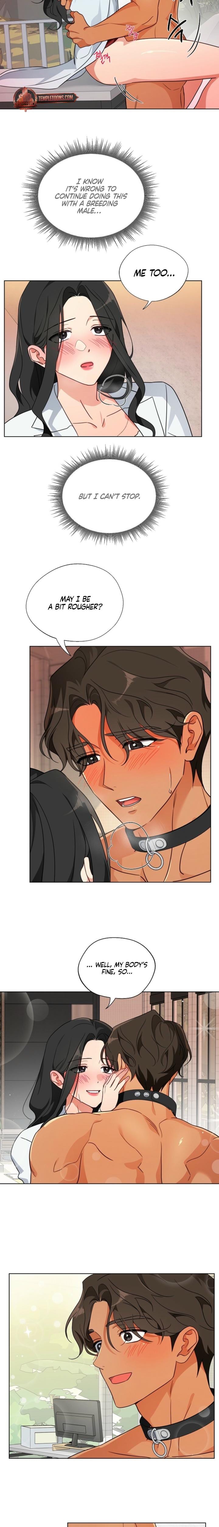 Males of the Breeding Room (Uncensored), chapter 3, page 8 of 16
