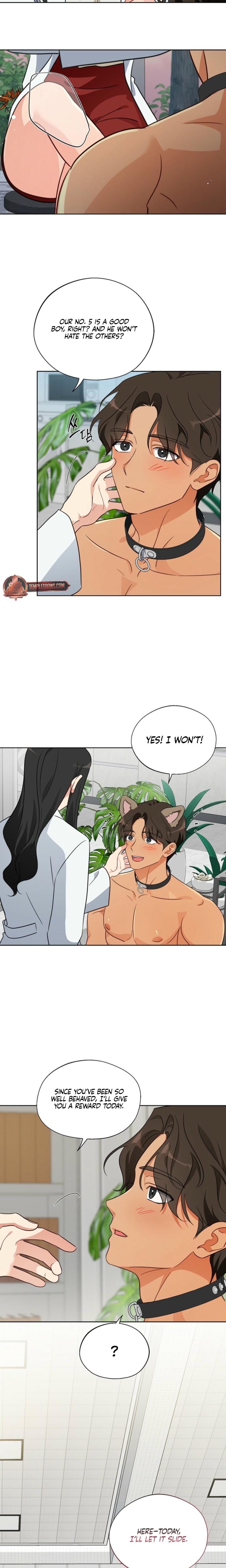 Males of the Breeding Room (Uncensored), chapter 5, page 17 of 18
