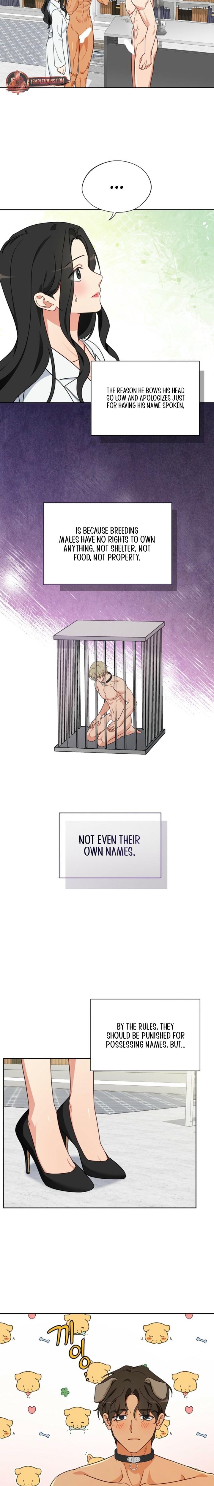 Males of the Breeding Room (Uncensored), chapter 6, page 9 of 17