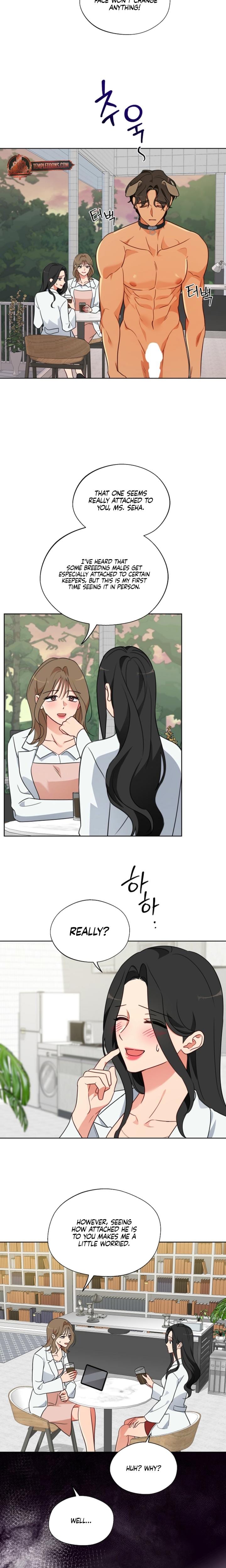 Males of the Breeding Room (Uncensored), chapter 12, page 7 of 17