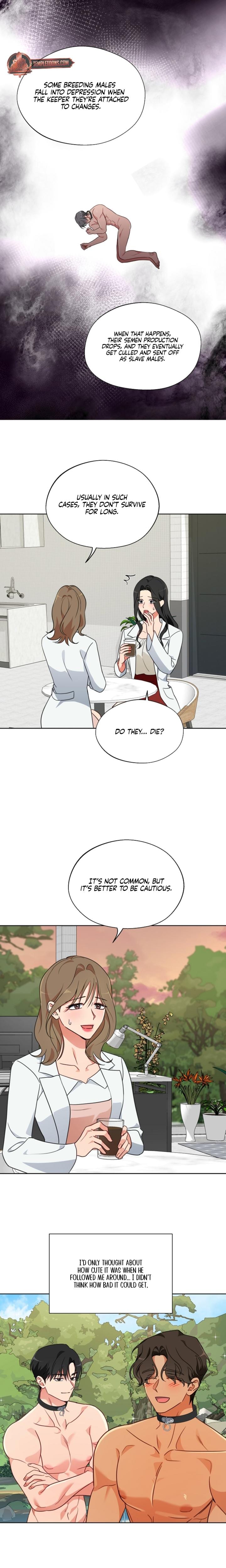 Males of the Breeding Room (Uncensored), chapter 12, page 8 of 17