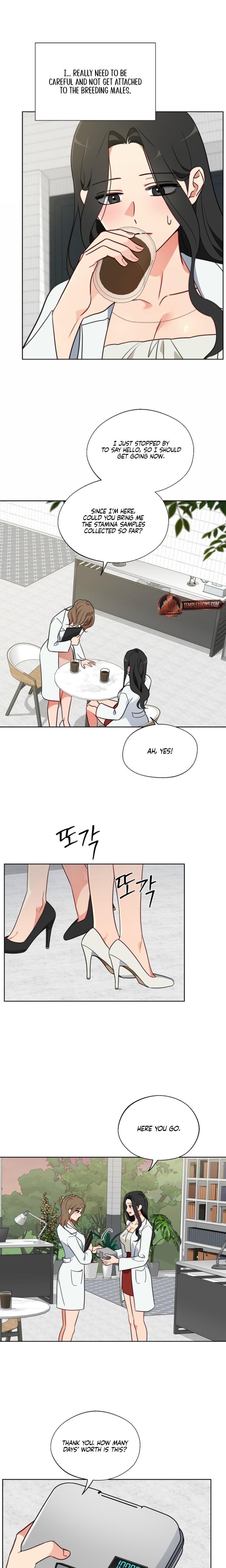 Males of the Breeding Room (Uncensored), chapter 12, page 9 of 17