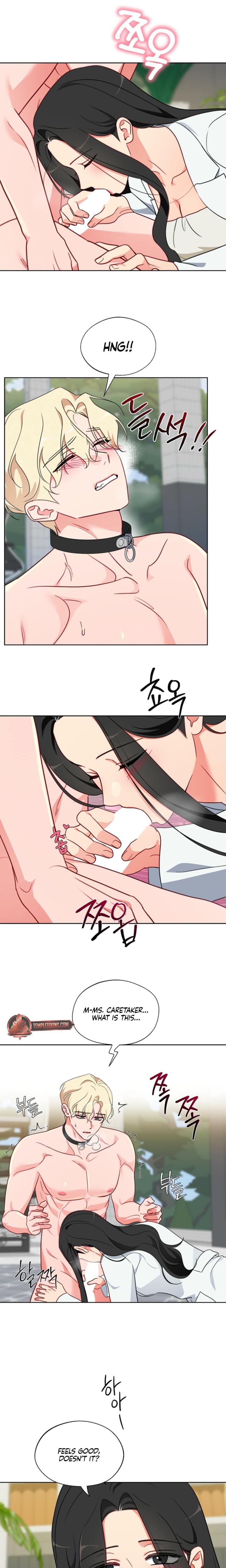 Males of the Breeding Room (Uncensored), chapter 14, page 12 of 15