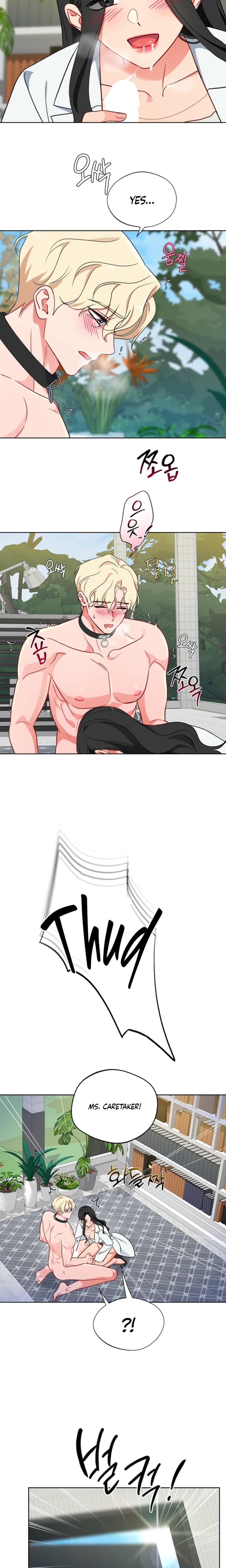 Males of the Breeding Room (Uncensored), chapter 14, page 13 of 15