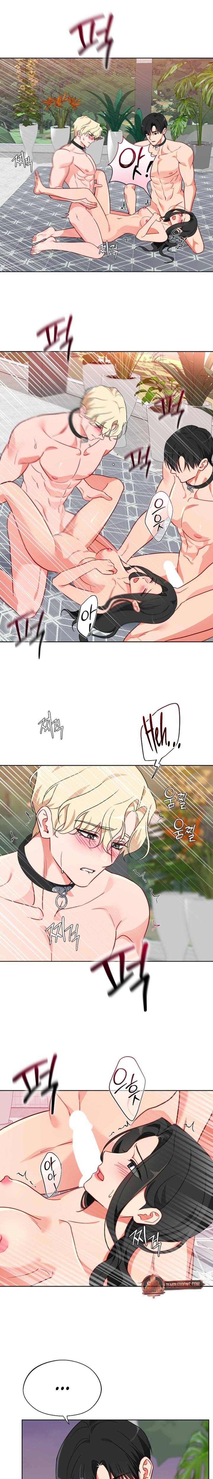 Males of the Breeding Room (Uncensored), chapter 15, page 14 of 16