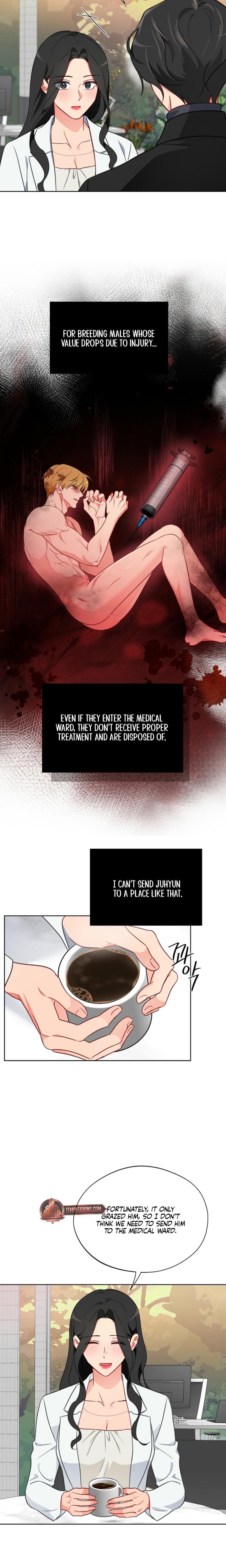 Males of the Breeding Room (Uncensored), chapter 17, page 14 of 21