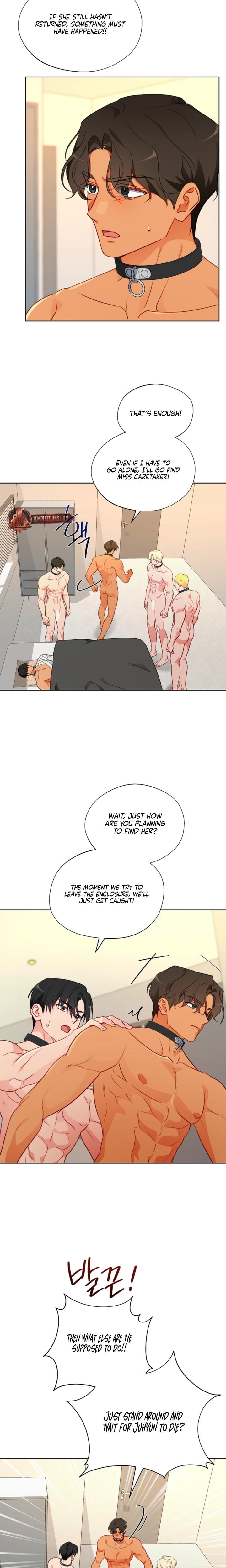 Males of the Breeding Room (Uncensored), chapter 18, page 12 of 20