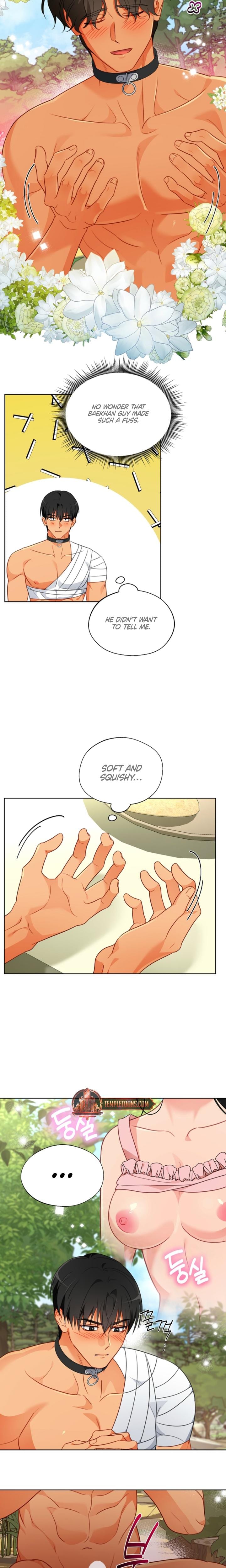 Males of the Breeding Room (Uncensored), chapter 20, page 17 of 18