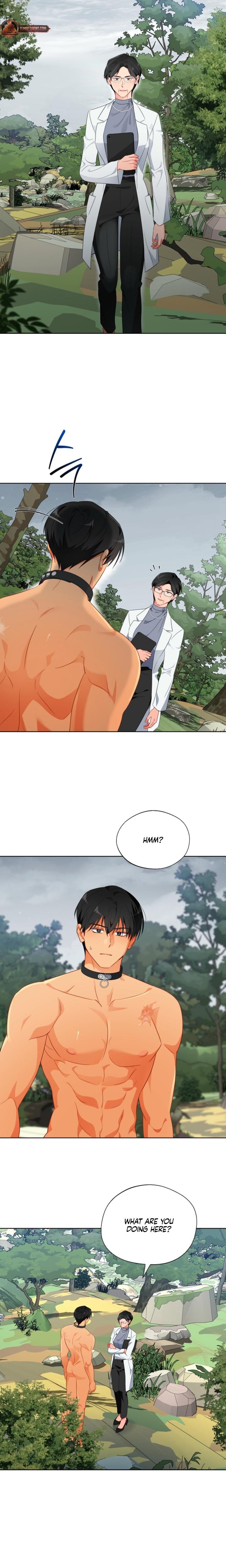 Males of the Breeding Room (Uncensored), chapter 25, page 15 of 18