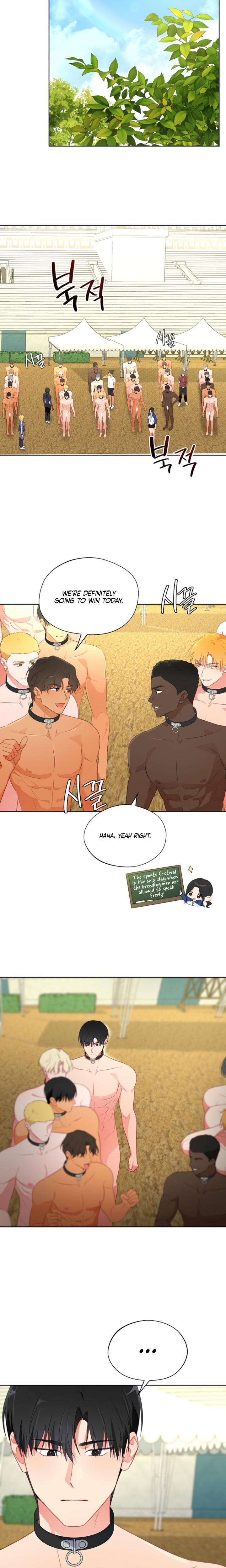 Males of the Breeding Room (Uncensored), chapter 29, page 13 of 19