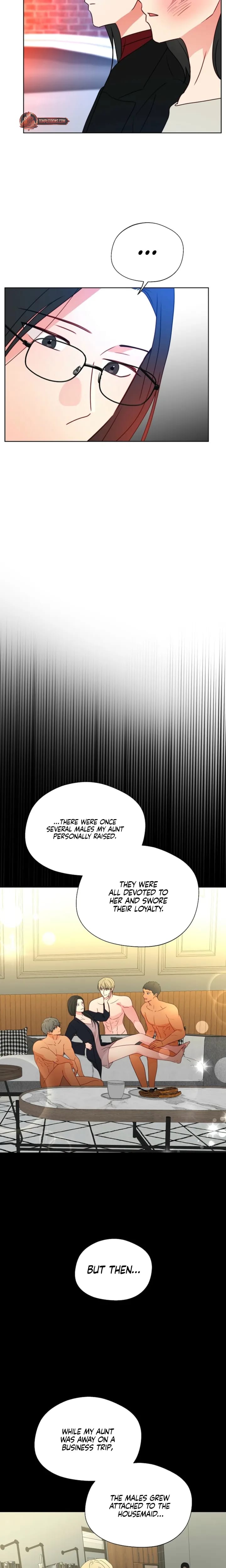 Males of the Breeding Room (Uncensored), chapter 33, page 17 of 20