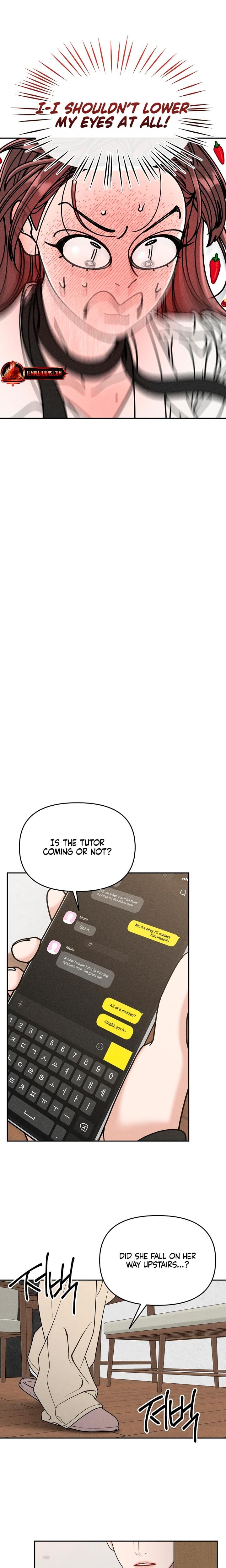 Observing My Mother's Friend's Son (Uncensored), chapter 1, page 29 of 31