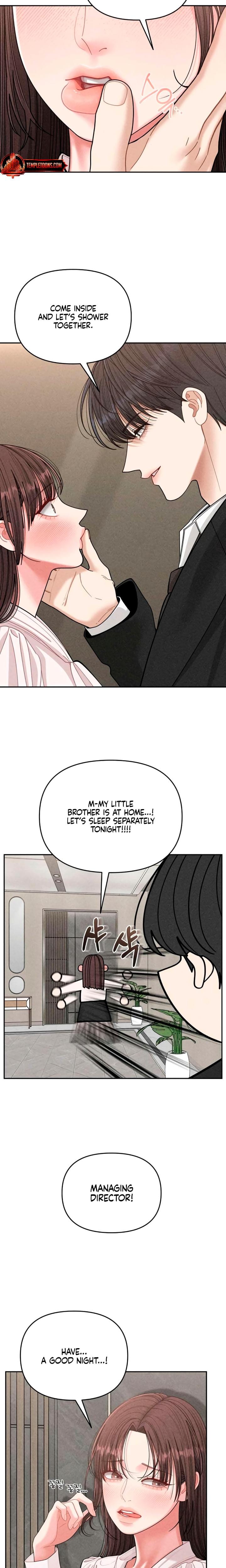 Observing My Mother's Friend's Son (Uncensored), chapter 16, page 19 of 22