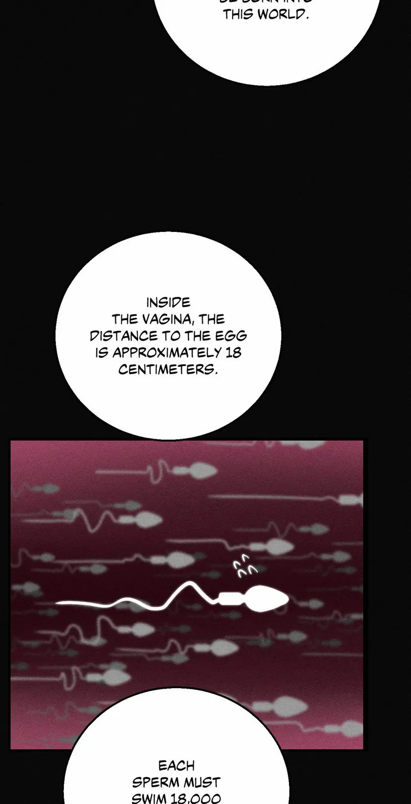 Seniors of Class 5 (Uncensored), chapter 76, page 26 of 105