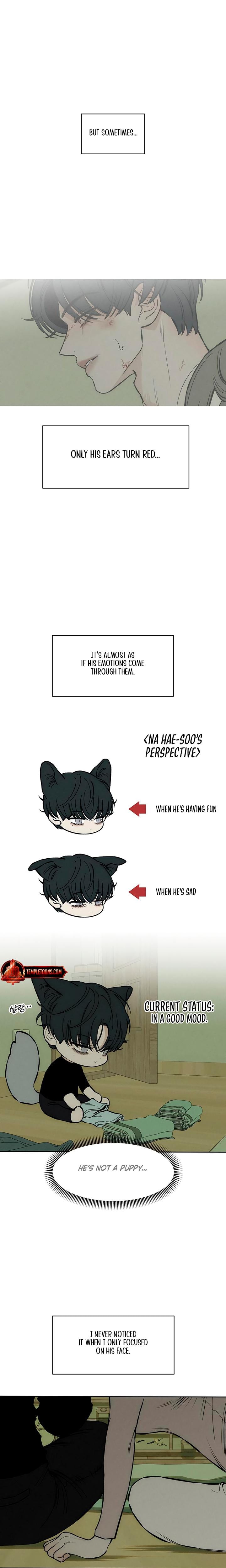 Tears on a Withered Flowers (Uncensored), chapter 47, page 21 of 26