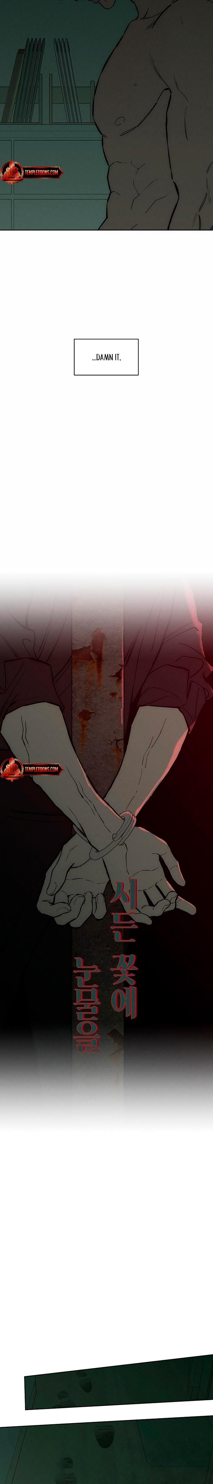 Tears on a Withered Flowers (Uncensored), chapter 59, page 15 of 31
