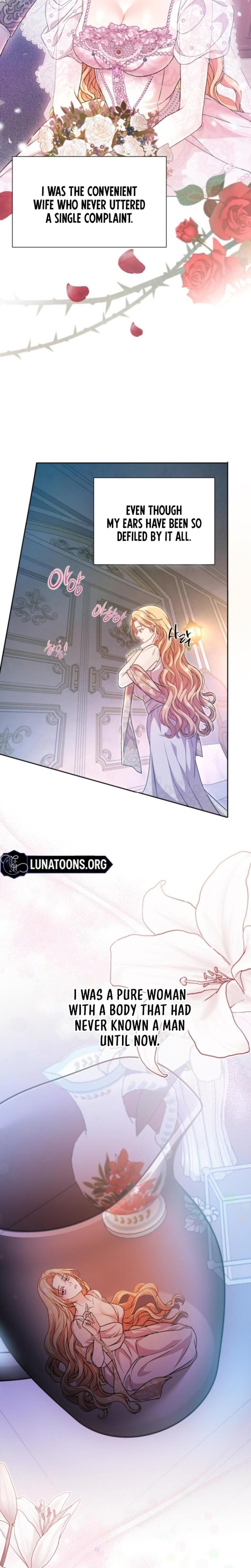The Countess's Secret (Uncensored), chapter 1, page 20 of 26