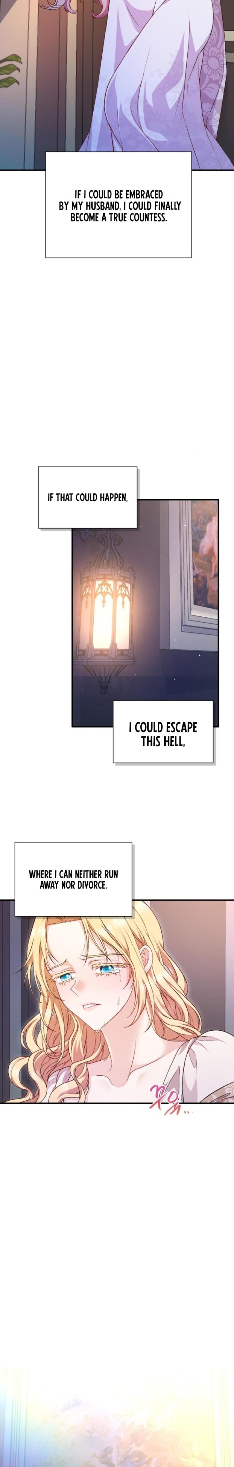 The Countess's Secret (Uncensored), chapter 1, page 25 of 26