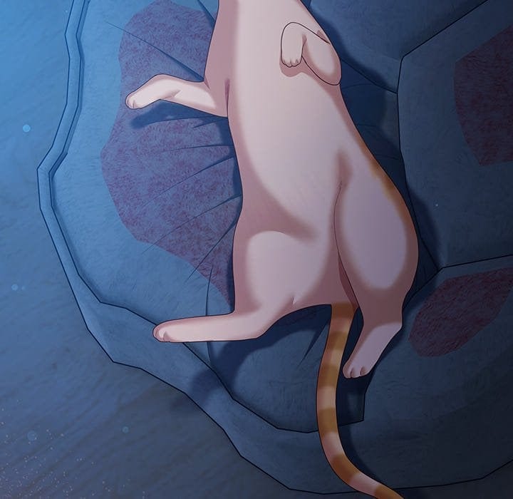 The Love Meowtchmaker (Uncensored), chapter 27, page 6 of 186
